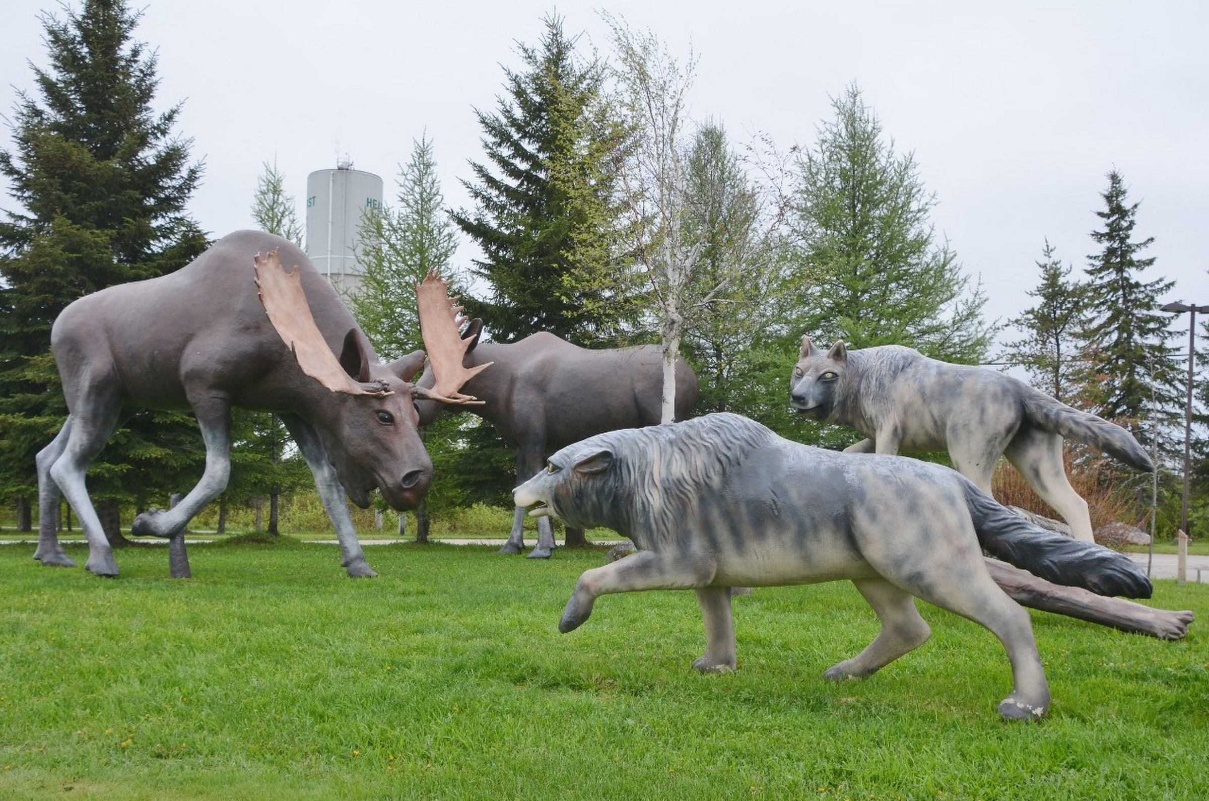Moose vs. Wolves Statue | Photo