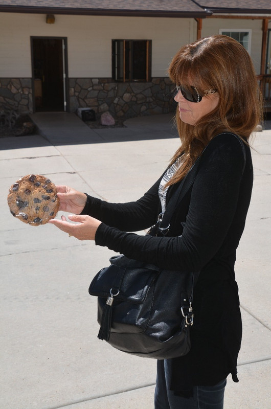 DH With Worlds Biggest CC Cookie
