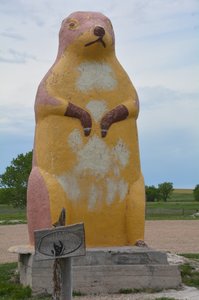 Largest Prairie Dog In The World