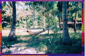 Imagine relaxing on the hammock !!!! 