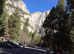 Tunnel view