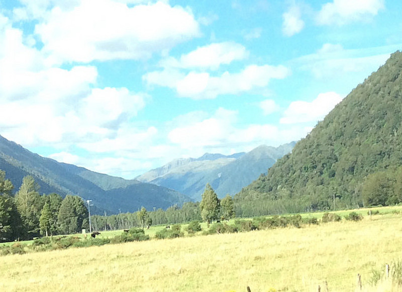Views from Alpine train