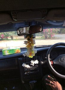 Fresh Flowers in car