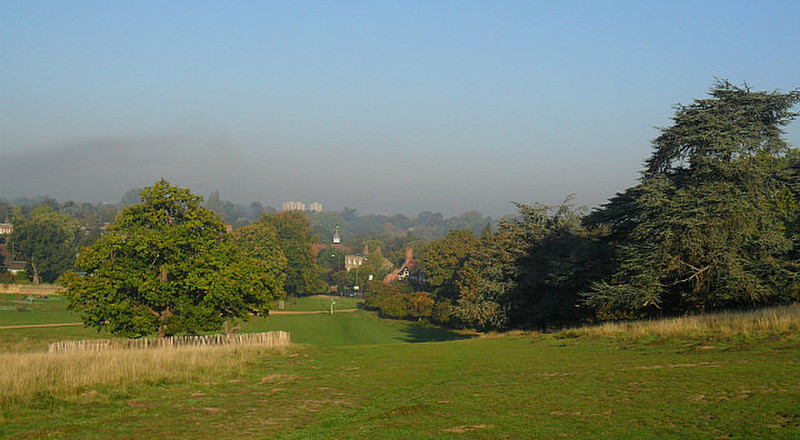 Richmond Park 
