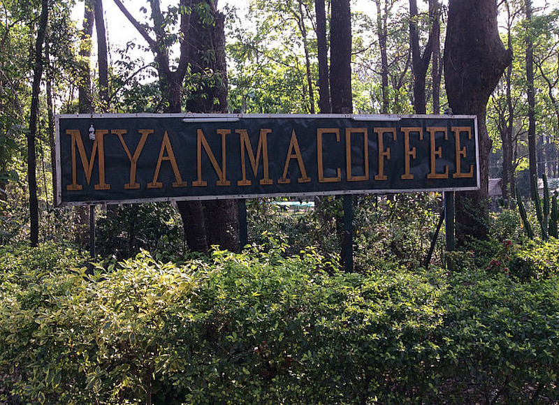 Myanmar Coffee