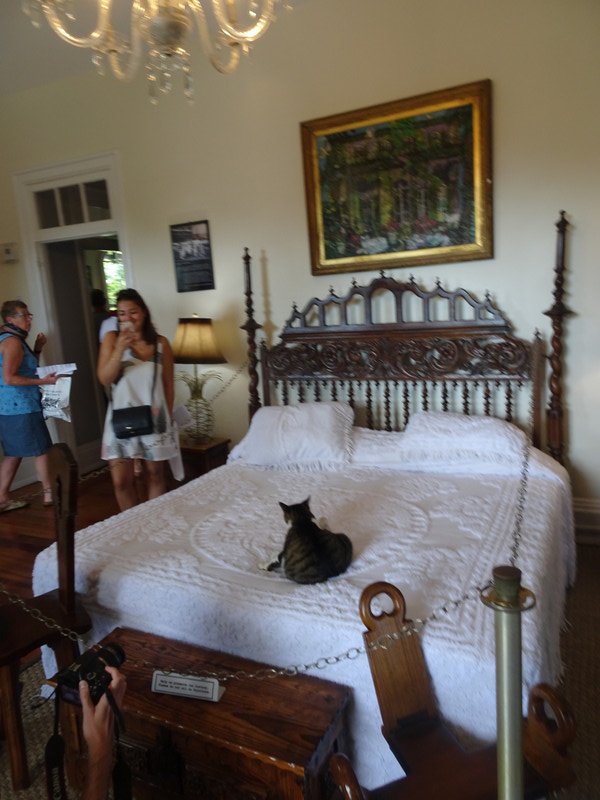 Heminway's bedroom plus cat