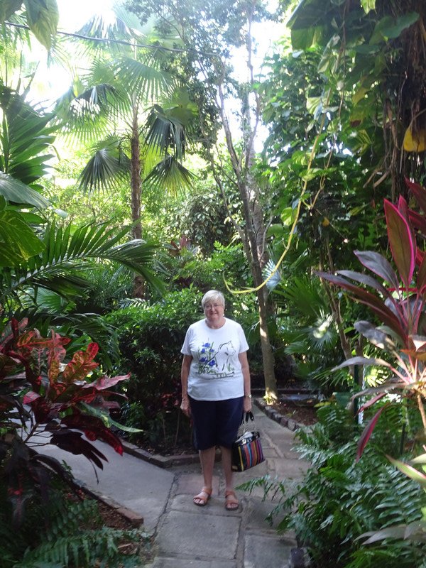 Lush gardens in the Hemingway house