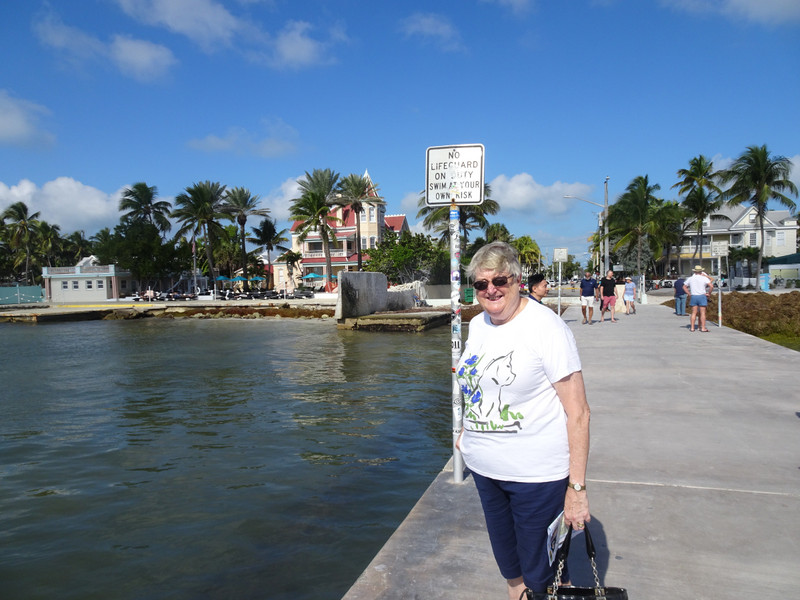 On the pier opposite the southernmost house