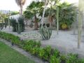Cactus garden at the marina