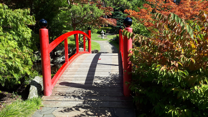 Bridge in the Japanese gardens