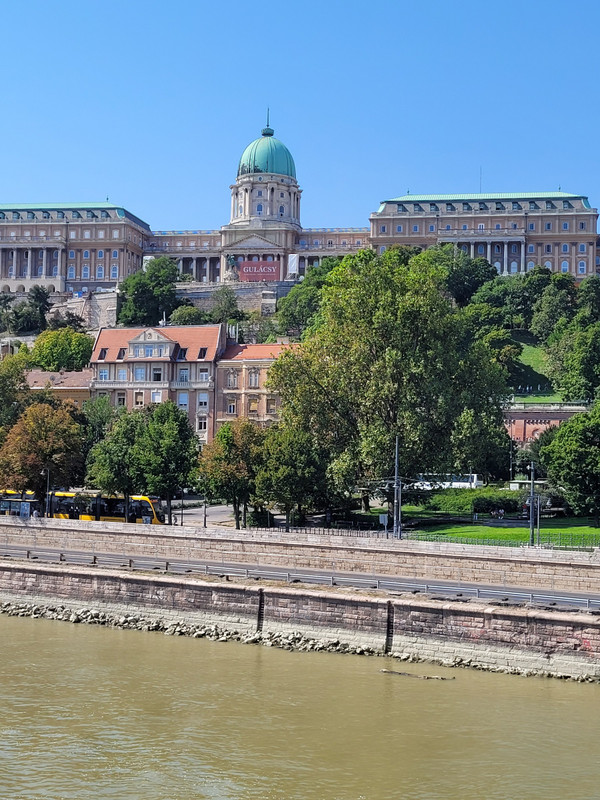 Buda Castle from the bridge 