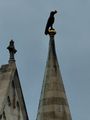 Staue of a raven on the spire of Matthias Church 