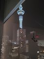 Sky Tower from our window