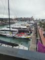 View of Viaduct Harbour from Saint Alice restaurant.