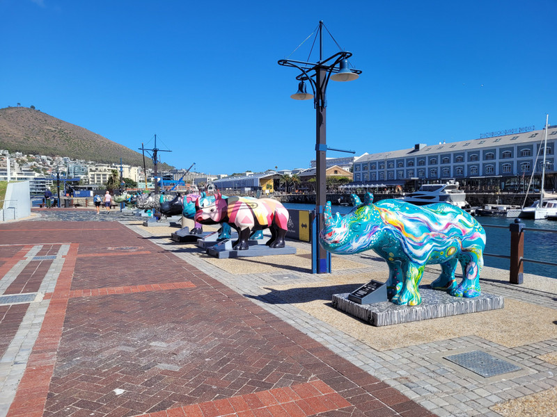 Rhino statues