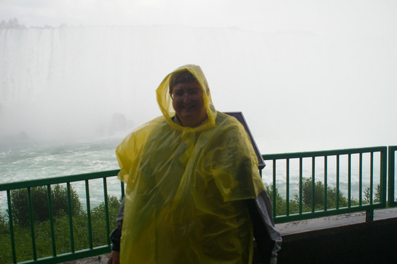 In attractive yellow behind the Horseshoe Falls