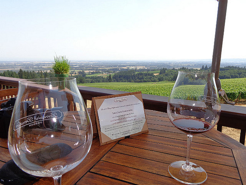 View from Domaine Drouin