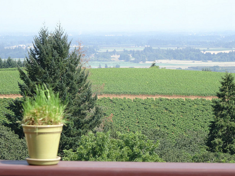 View from Domaine Drouin