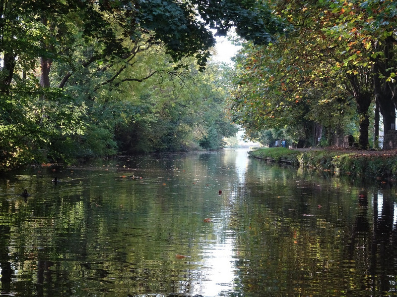 Peaceful canal from the boat