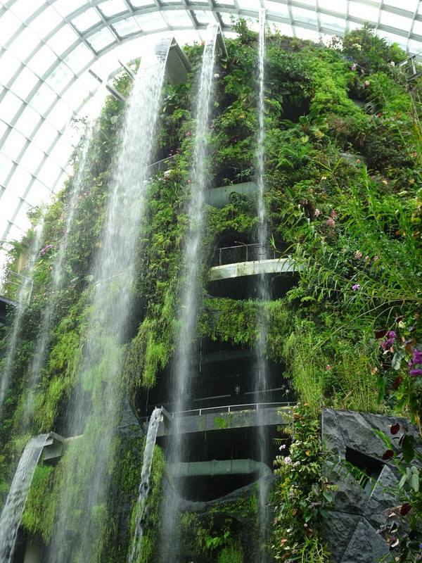 The waterfall in the Cloud Forest Dome