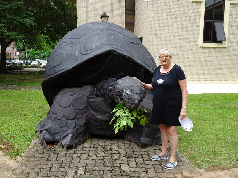 My friend the giant tortoise