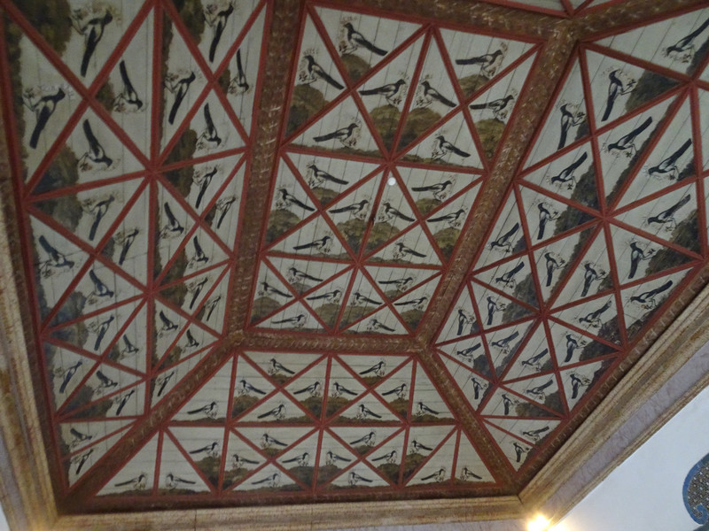Ceiling in the magpie room