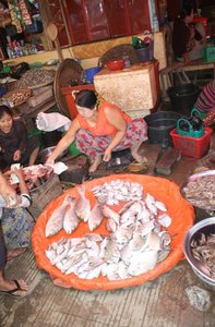 Fish Market, Yangon