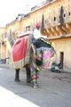 16 Elephant at Amber Palace