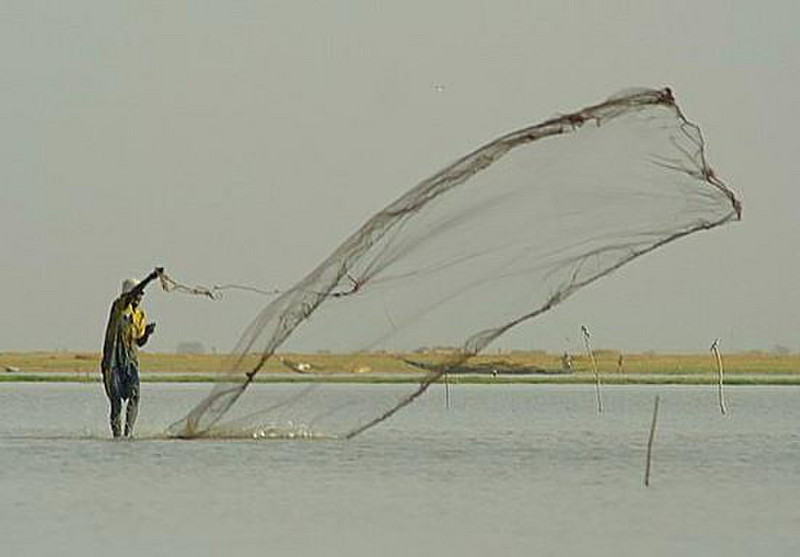 22 Bozo Casting Net on Niger River