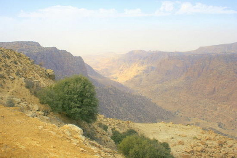 14 Wadi Dana in Dana Nature Reserve