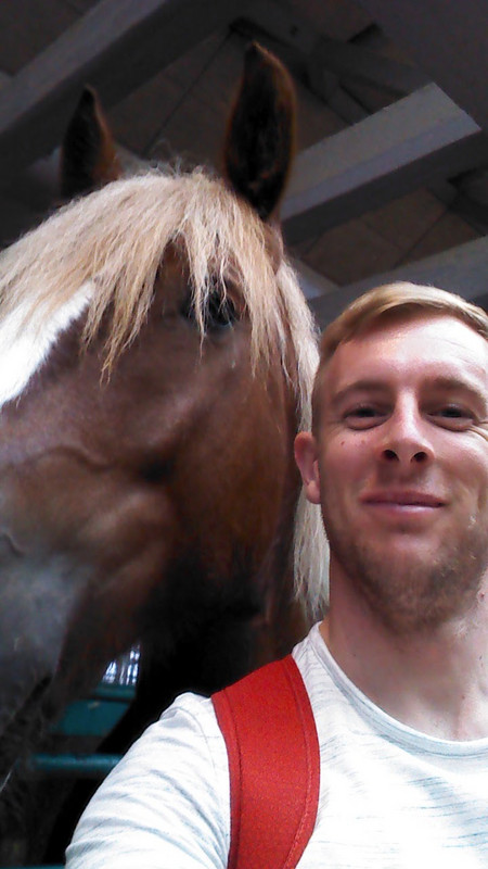 My New Friend Louise the Cart Horse