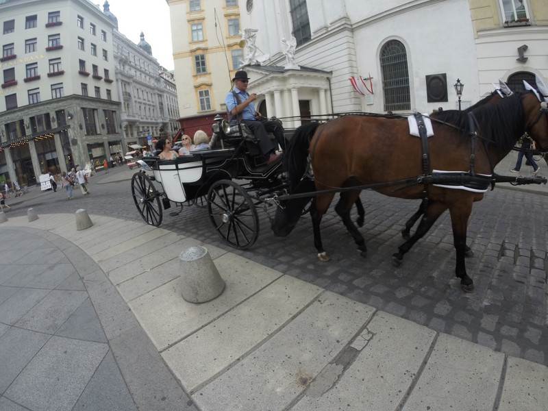 Horse and Carriage 