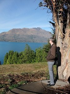 A last look at Queenstown