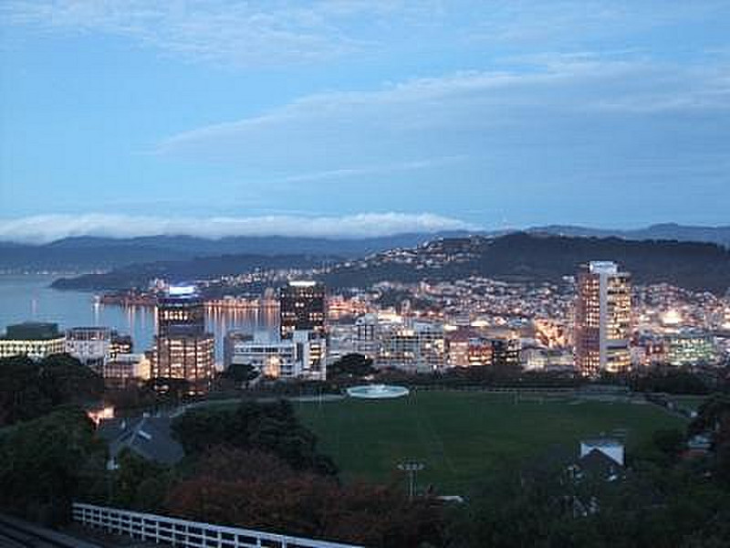 Wellington at dusk