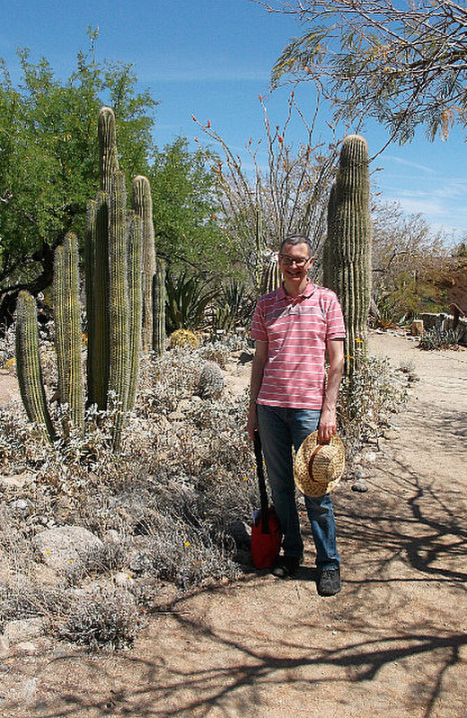 Sonoran Desert Cactus
