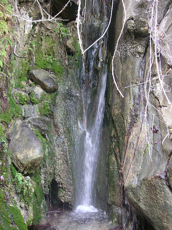 Maidenhair Falls