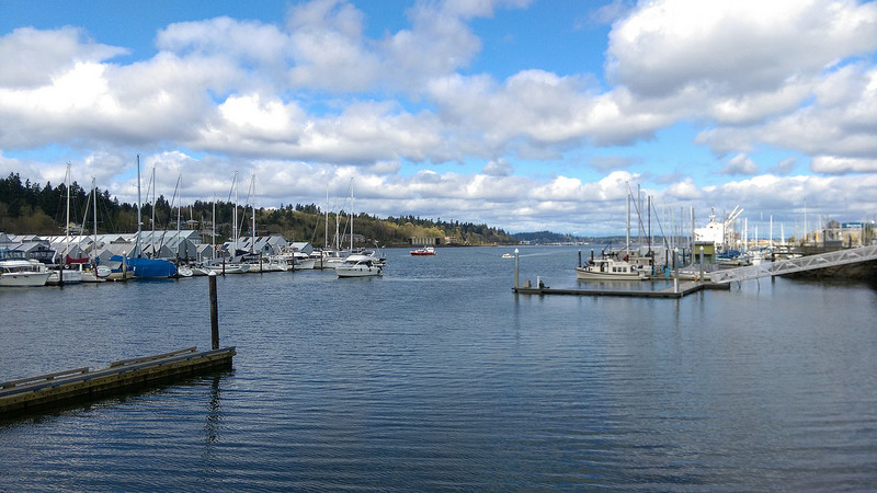 View of the harbour from Percival Landing