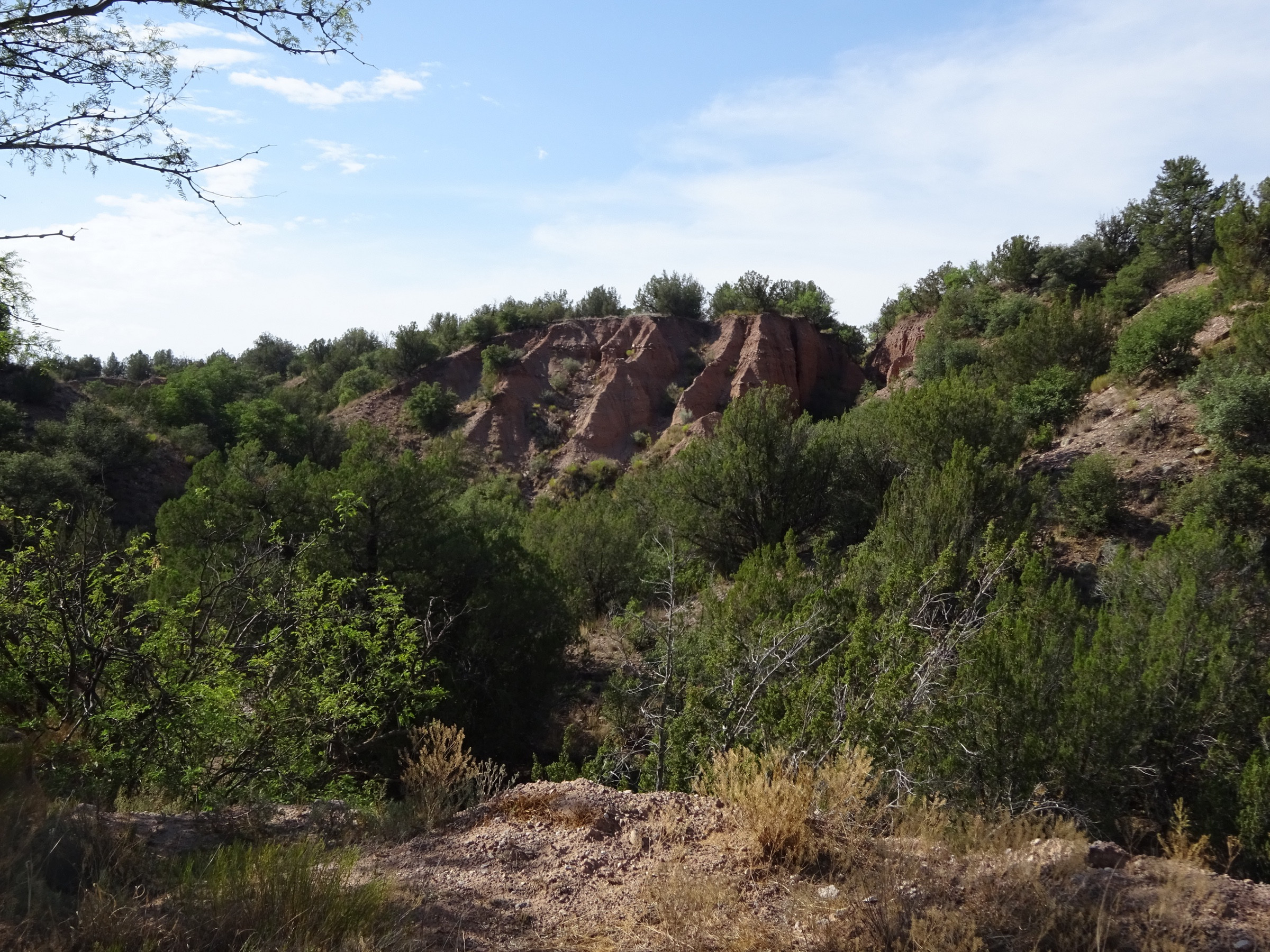 Land For Sale Gila National Forest at rosaleekharris blog