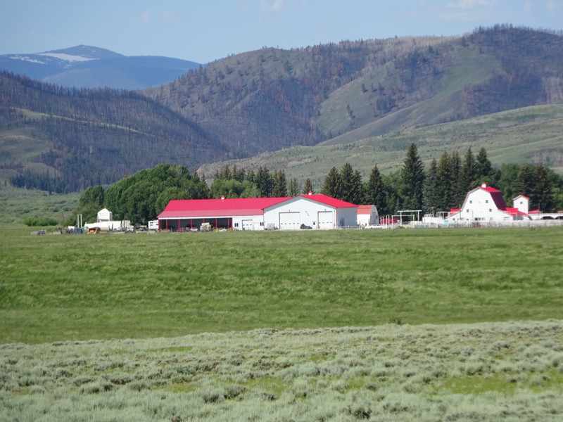 White farms with red roofs