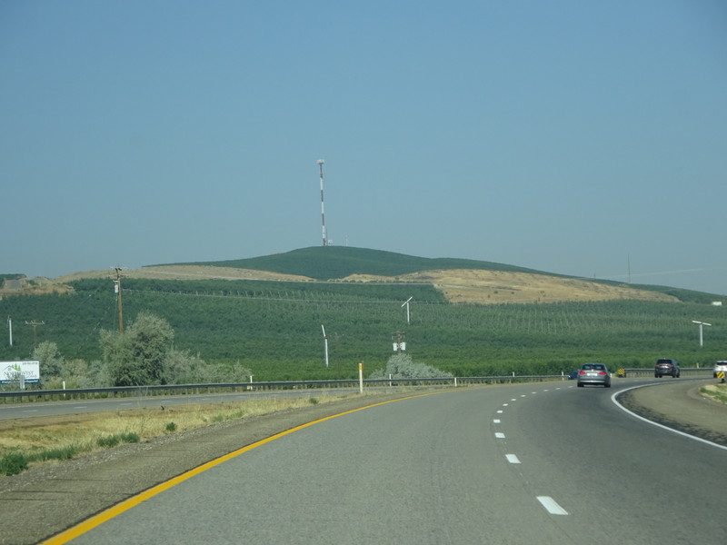 Vineyards in Yakima Valley