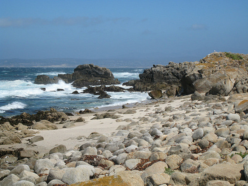 Monterey 3