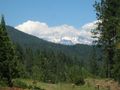 Mount Shasta 3