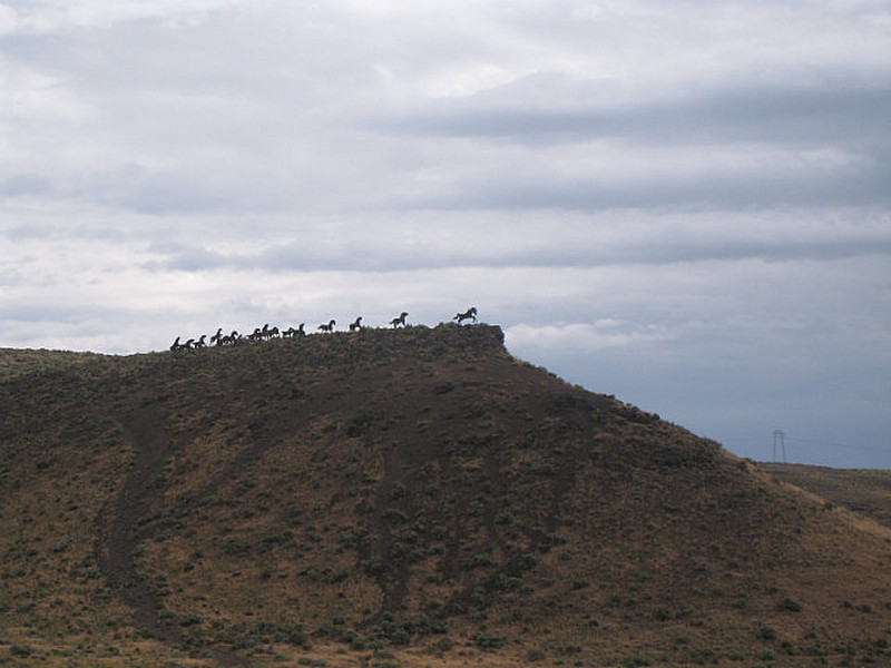 Horse monument on the hill