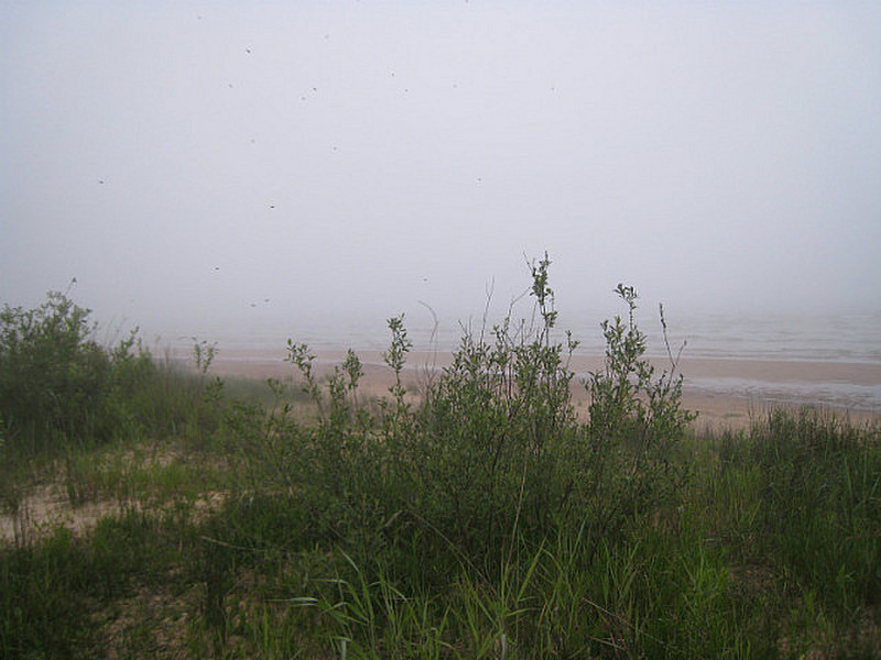 Lake Michigan fogged in 2