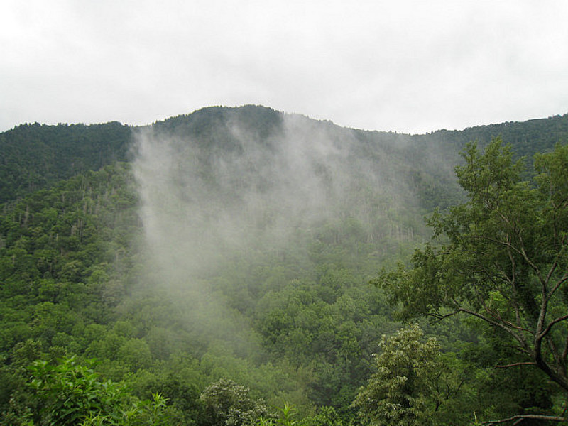 Smoky Mountain National Park 4