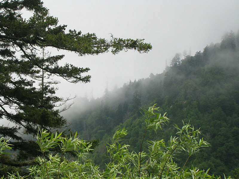 Smoky Mountain National Park 5