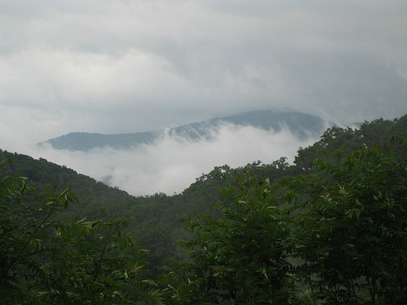 Smoky Mountain National Park 8