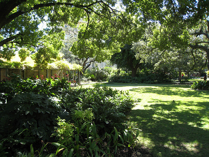 The Alamo gardens