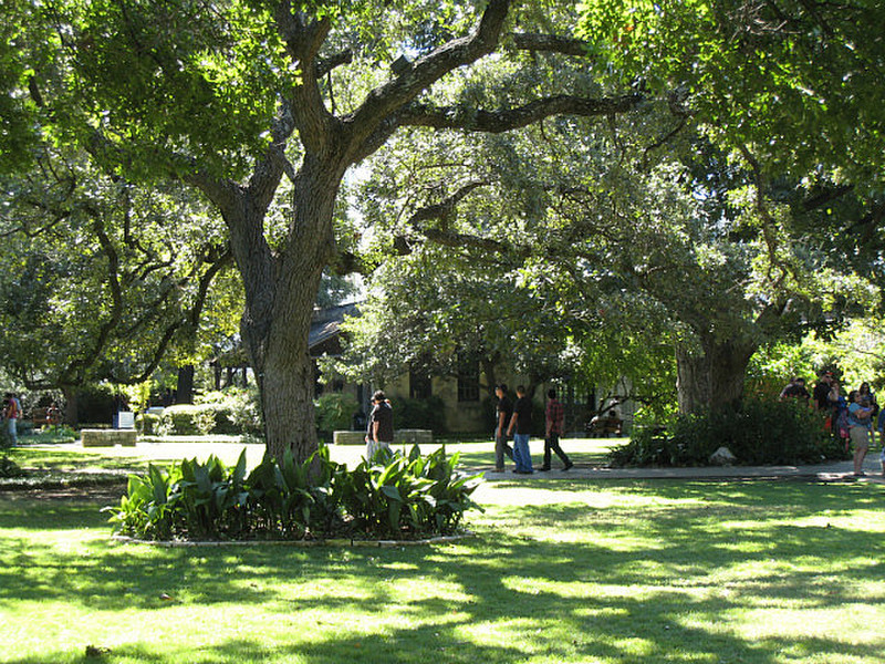 The Alamo gardens - 2
