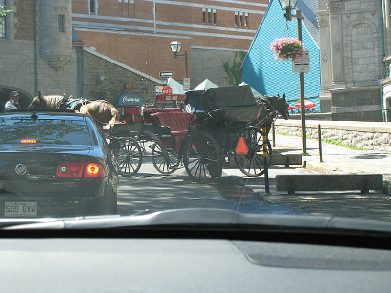Horse parallel parking